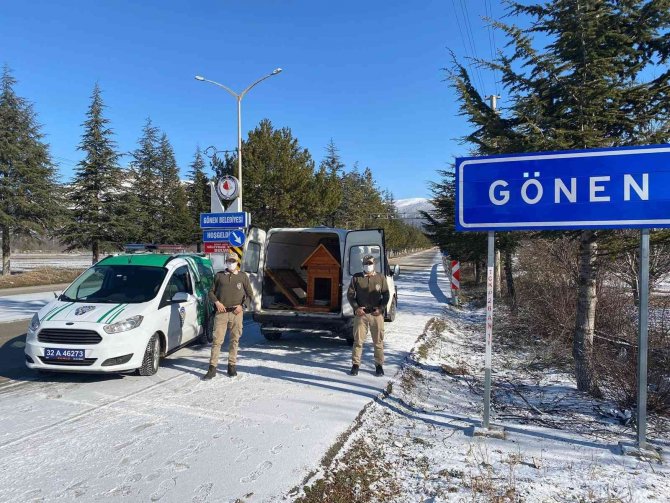 HAYDİ ekipleri yeni doğum yapan anne ve 4 yavru köpeğe sahip çıktı