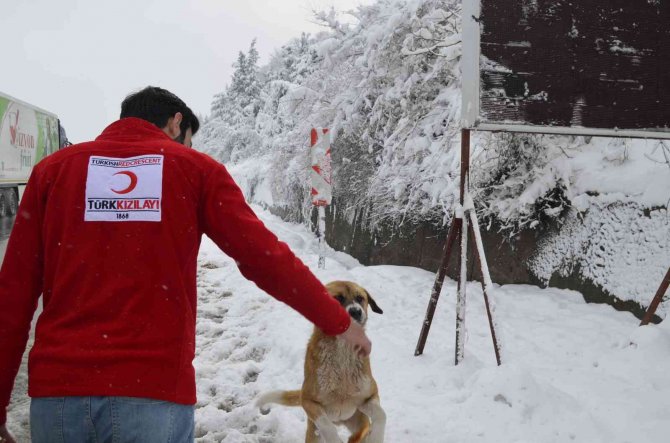 Kızılay’dan yürek ısıtan çalışma