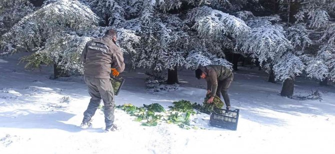 Yaban hayatına 15 ton yem bırakıldı