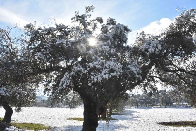 İstanbul’a çile olan kar, Bodrum’a neşe oldu