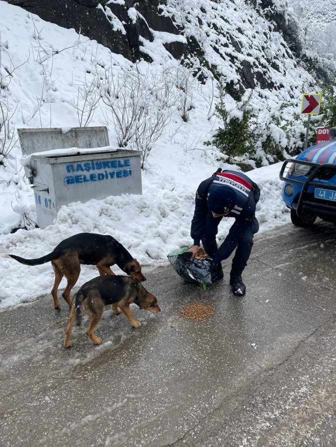 Jandarma ekipleri sokak hayvanları için doğaya mama bıraktı