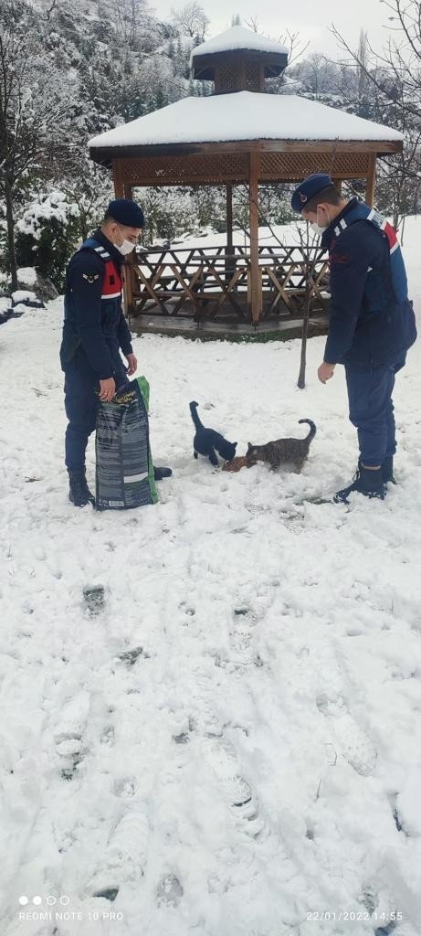 Jandarma ekipleri sokak hayvanları için doğaya mama bıraktı