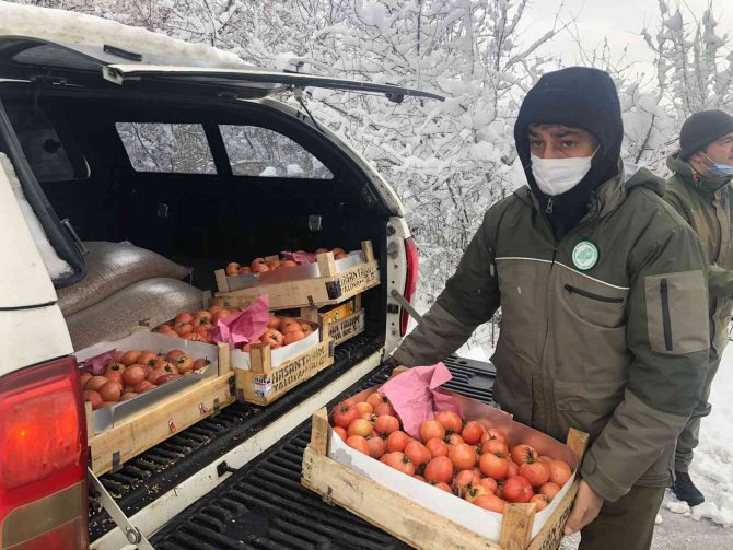 Yalova’da yaban ve av hayvanları için doğaya yem bırakıldı