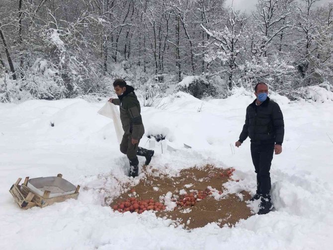 Yalova’da yaban ve av hayvanları için doğaya yem bırakıldı