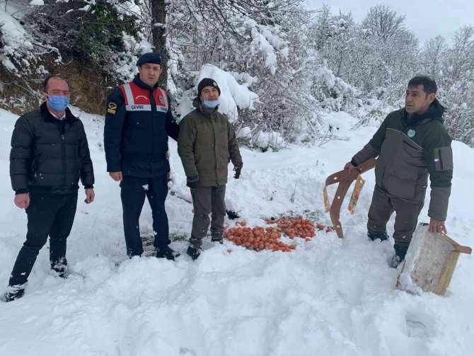 Yalova’da yaban ve av hayvanları için doğaya yem bırakıldı