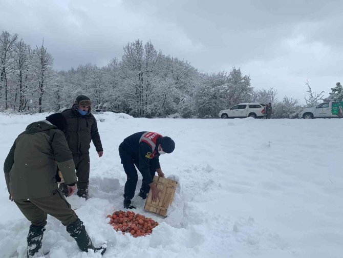 Yalova’da yaban ve av hayvanları için doğaya yem bırakıldı