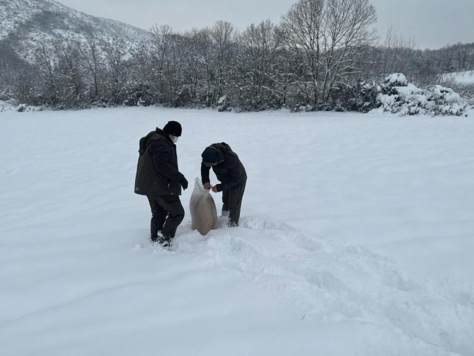 Yalova’da yaban ve av hayvanları için doğaya yem bırakıldı