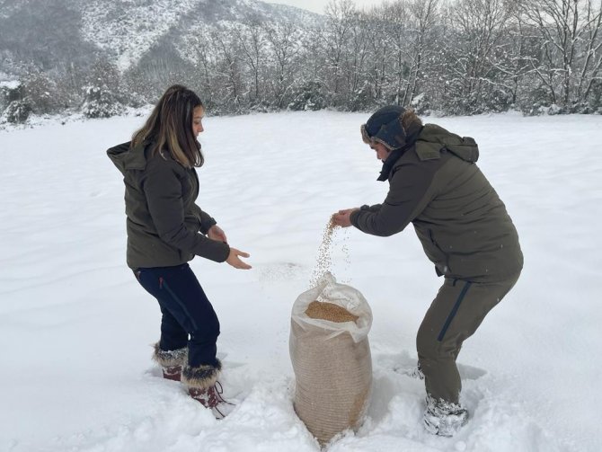 Yalova’da yaban ve av hayvanları için doğaya yem bırakıldı