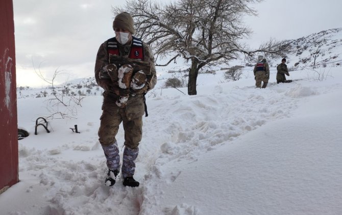 Yaşlı çiftin yardım çağrısına jandarma yetişti