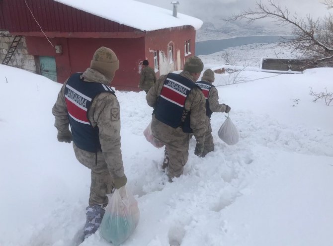 Yaşlı çiftin yardım çağrısına jandarma yetişti