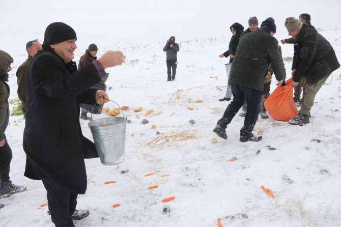 Aladağlar’da dağ keçileri drone ile görüntülendi