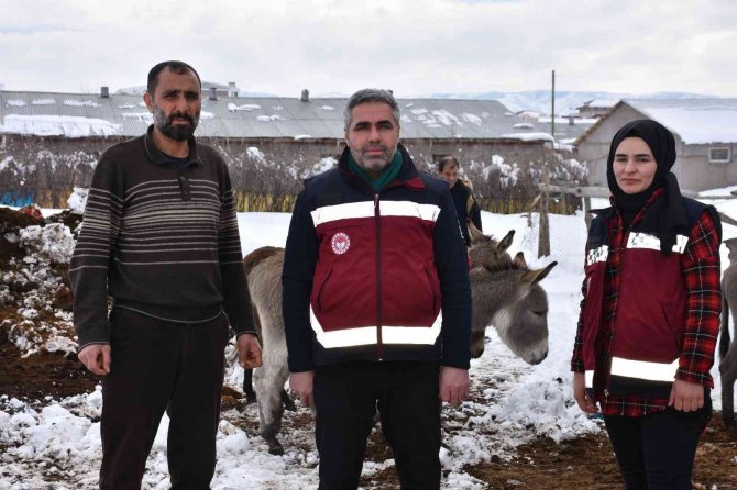 Bingöl’de kışın başıboş bırakılan eşekler kiralanan hana yerleştirildi