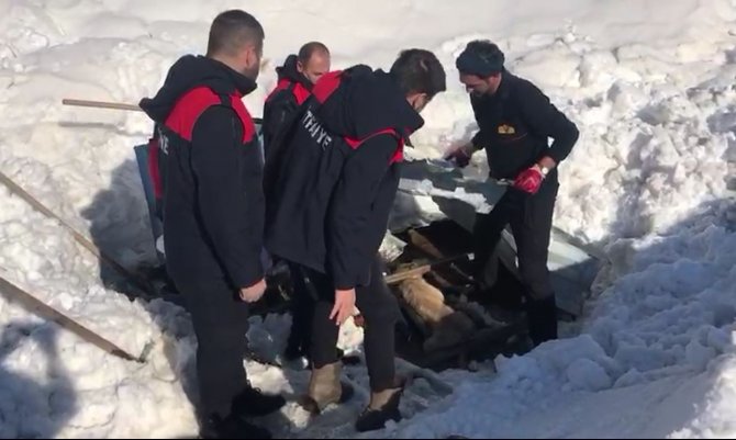 Enkazın altındaki köpek kurtarıldı