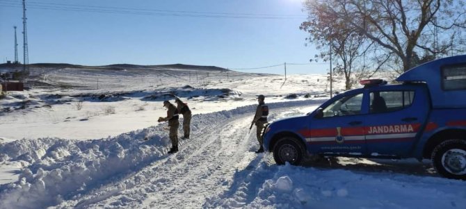 Jandarma sokak hayvanlarını unutmadı