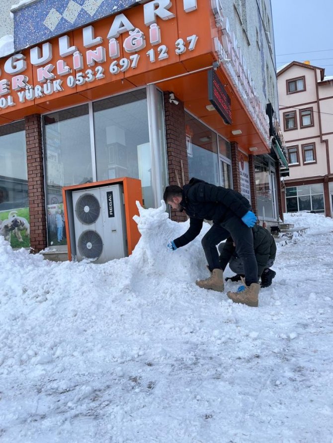 Veteriner hekimler kardan yapıp muayene etti