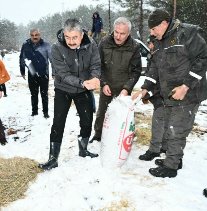 Yoğun kar yağışında yaban hayvanları unutulmadı