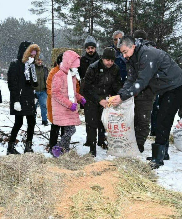 Yoğun kar yağışında yaban hayvanları unutulmadı