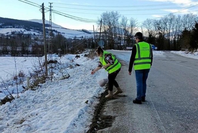 Açtıkları yola mama bırakmayı ihmal etmiyorlar