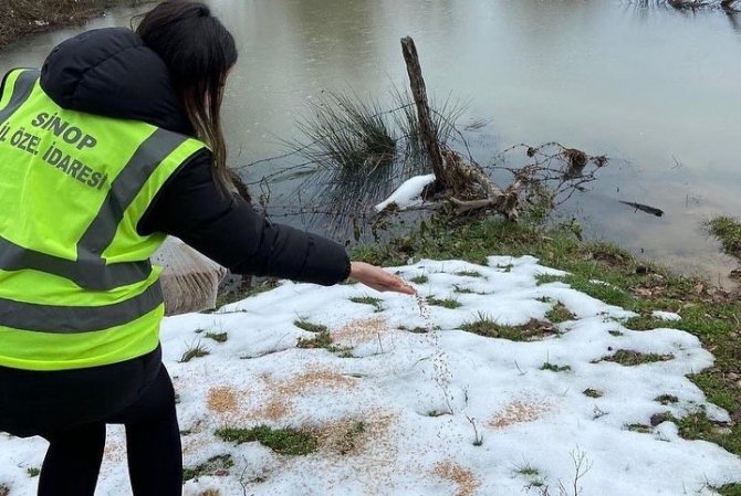 Açtıkları yola mama bırakmayı ihmal etmiyorlar