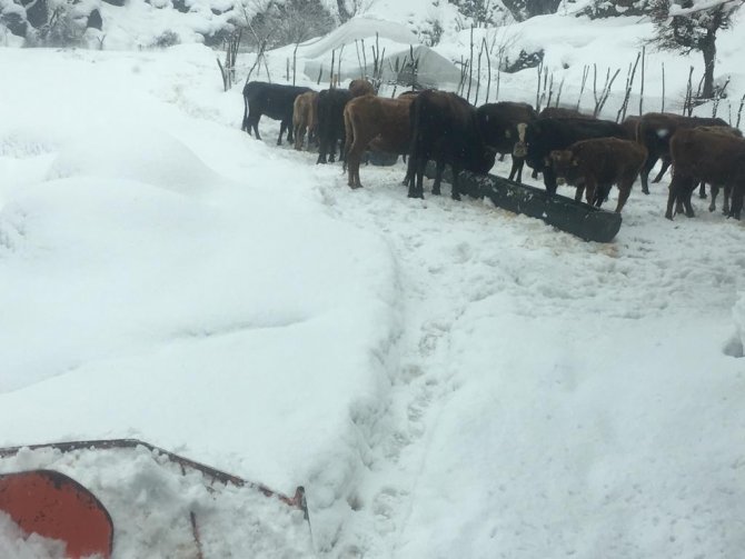 Batman kara teslim, birçok köy yolu ulaşıma kapandı