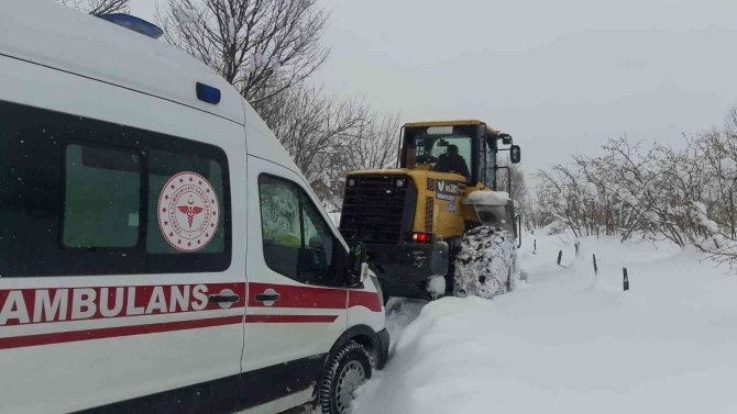 Ordu’nun 19 ilçesinde karla mücadele sürüyor