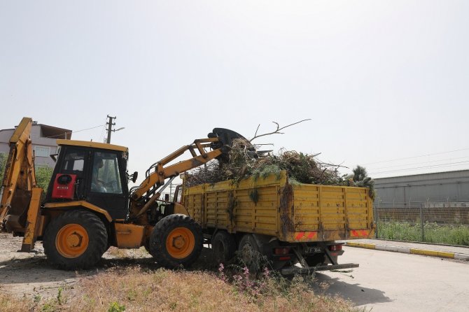 Toplanan dallardan 465 ton kompost malzeme elde edildi