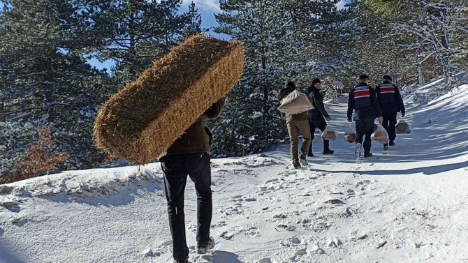 Karla kaplı Kazdağları’na yaban hayvanları için yem bırakıldı