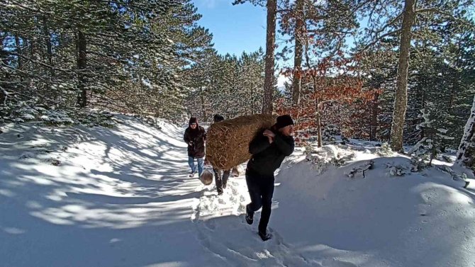 Karla kaplı Kazdağları’na yaban hayvanları için yem bırakıldı