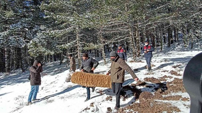 Karla kaplı Kazdağları’na yaban hayvanları için yem bırakıldı