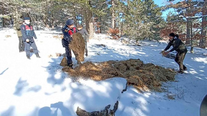 Karla kaplı Kazdağları’na yaban hayvanları için yem bırakıldı