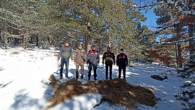 Karla kaplı Kazdağları’na yaban hayvanları için yem bırakıldı