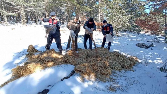 Karla kaplı Kazdağları’na yaban hayvanları için yem bırakıldı