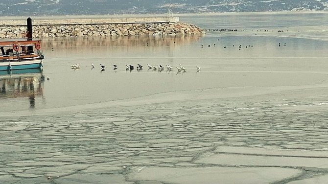 Buz tutan Eğirdir Gölü üzerinde bisiklet sürüp tavla keyfi yaptılar