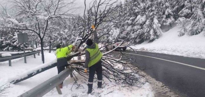 Kırılan ağaç dalları toplanıyor