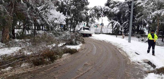 Kırılan ağaç dalları toplanıyor