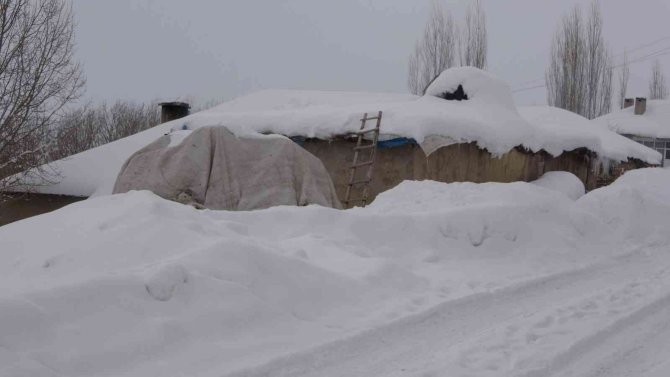 Yüksekova’da aşırı soğuklar hayatı donma noktasına getirdi