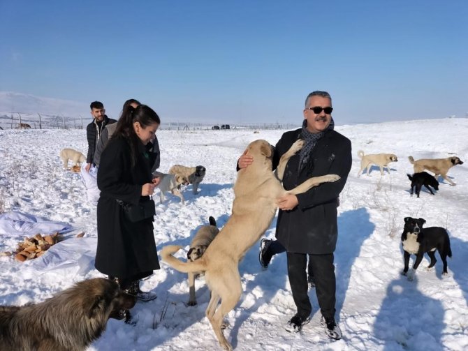 AK Parti’den yaban hayatı için doğaya yem