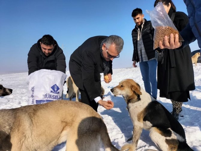 AK Parti’den yaban hayatı için doğaya yem