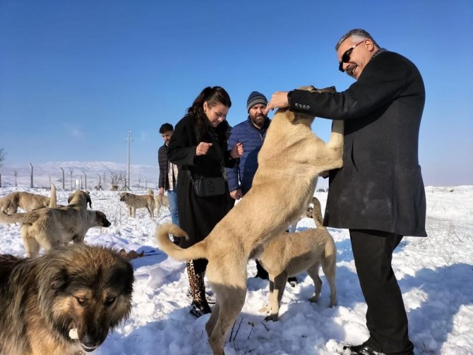 AK Parti’den yaban hayatı için doğaya yem