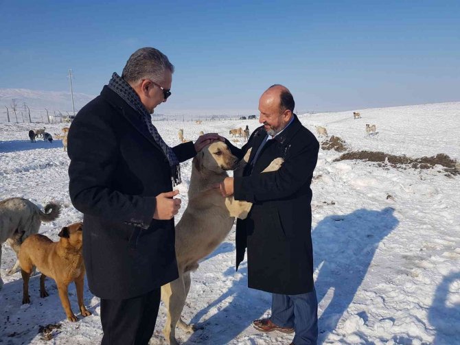 AK Parti’den yaban hayatı için doğaya yem