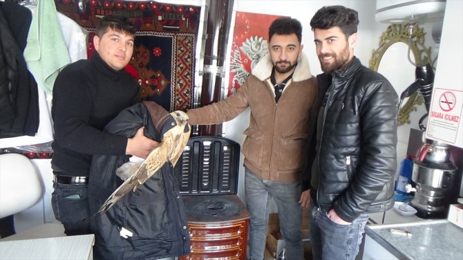 Konya'da donmak üzere olan kartal kurtarıldı