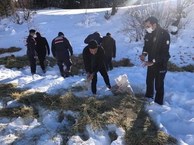 Yaban hayvanları için doğaya yem bırakıldı