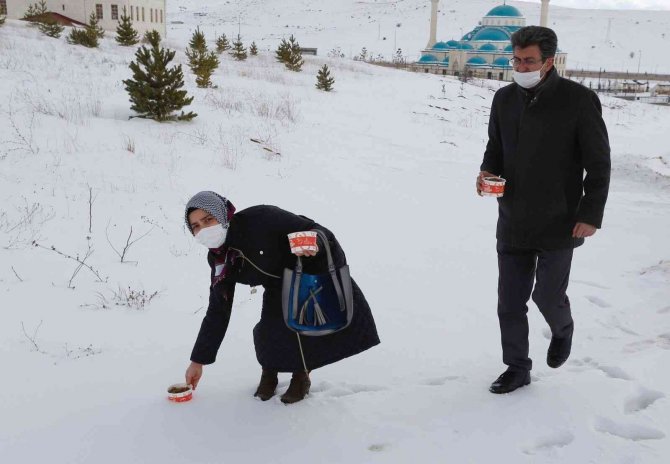 Kış şartlarında yiyecek bulmakta zorlanan sokak hayvanları için doğaya mama bırakıldı