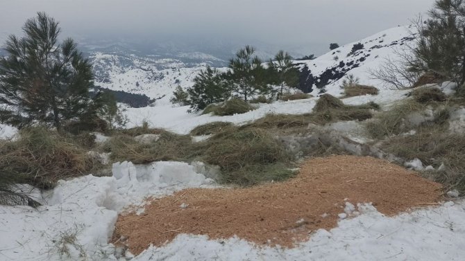 Öğrenciler yaban hayvanları için yem bıraktı