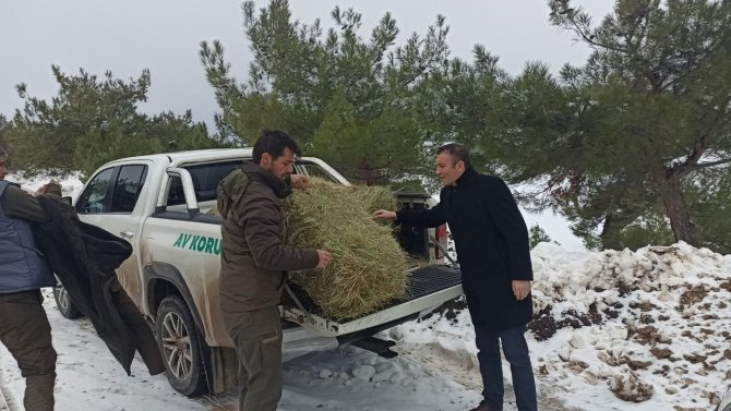 Öğrenciler yaban hayvanları için yem bıraktı