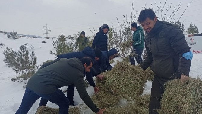 Öğrenciler yaban hayvanları için yem bıraktı