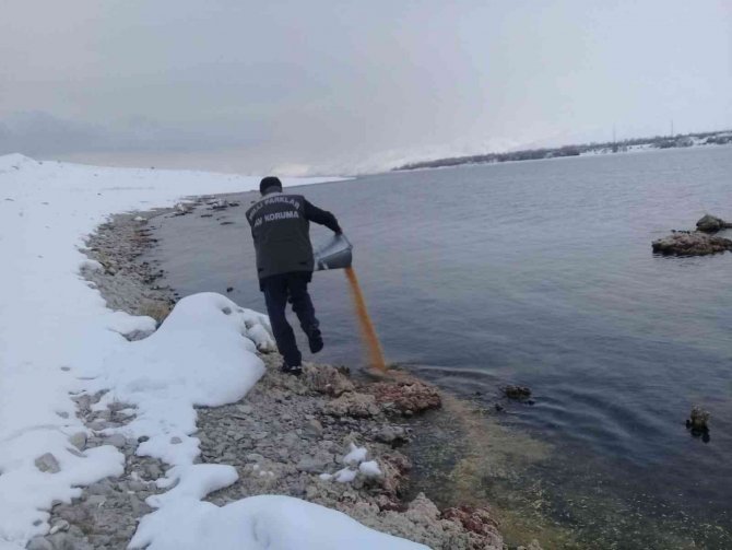 Yaban hayvanlarına yem desteği