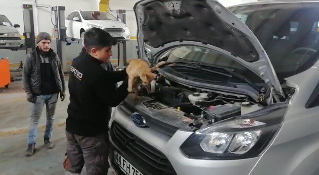 Isınmak için girdiği aracın motorundan çıkmak istemedi