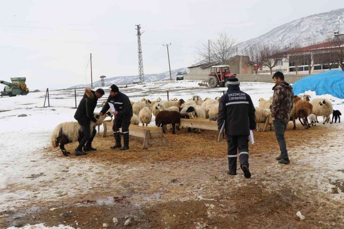 Karlı yolları aşıp besicilere ulaşıyorlar