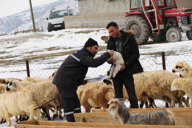 Karlı yolları aşıp besicilere ulaşıyorlar